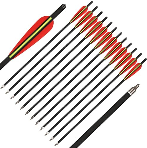 BKEBOLTS 24x Carbon Armbrustbolzen 20 Zoll Armbrustpfeile Jagd Bogenschießen Carbonpfeile mit 4 Flügelschraube Ersatz Pfeilspitze Spitze