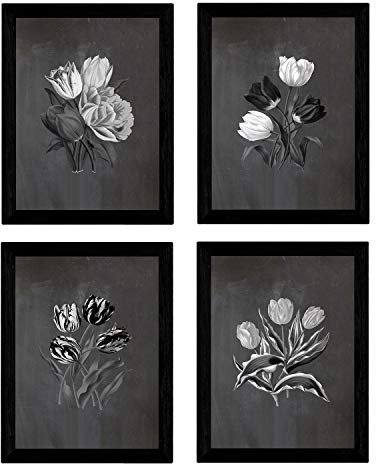 Nacnic Botanische Plakate 4-er Set. Schwarz Hintergrund Tulpen Poster Set. Verschiedene Hintergründe zur Auswahl. Größe A4, ohne Rahmen.