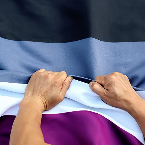 Anley Rip-Proof Technology Doppelseitige 3-lagige asexuelle Pride-Flagge 3x5 Ft – lebendige Farbe, Segeltuchkopf und knitterfest – die stärkste, langlebigste Asexualitäts-Regenbogen LGBT Flagge 3x5 Ft