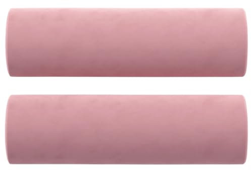 vidaXL Cuscini Decorativi 2 pz Rosa Ø15x50 cm in Velluto
