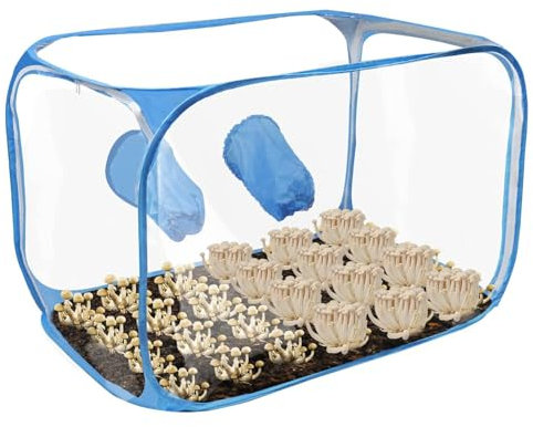 Pilzzuchtzelt, Pilzzuchtbox - Pflanzbeutel-Pilzzelt-Vermehrungsstationen,Pilzzuchtbeutel, Gartenbaubedarf, Zuchtbehälter, Pop-up-Design für Pilzliebhaber