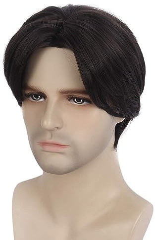 REEWES Männer Perücke Kurze Herrenperücke Gelockte Herrenperücken mit Pony Natürliche Synthetische Vollperücke für Männer Täglich Party Kostüm Cosplay Tragen (Braun)