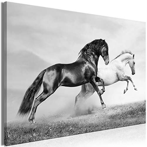 decomonkey Akustikbild Pferde 120x80 cm 1 Teilig Leinwand Modern Bilder Wandbilder XXL Schallschlucker Schallschutz Akustikdämmung Wandbild Deko Leise schwarz-weiß tiere