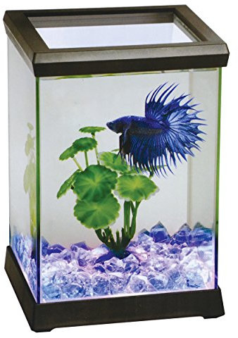 Ocean Free AT619A Kit Betta Space Led, Negro, 4,95 litros, 15.5x15.5x10.5 cm
