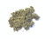 Ash Spice Company