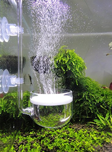 Musik Glas CO2 Diffusor für Aquarium Pflanze (Φ50mm)