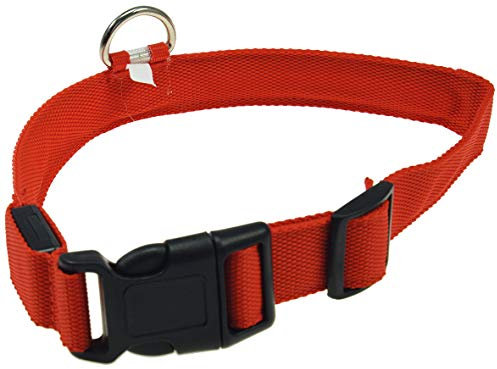 ChiliTec Hunde Halsband mit LED Beleuchtung Sicherheitslicht, Stabiler Clip und gehärteter Metallring, 28-60 cm Größe S - XL, rot (XL = 52-60cm, ROT)