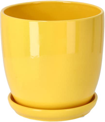 KOTARBAU® Macetero con Plato de Ceramica esmaltada, 15 cm, Maceta para Interiores y Exteriores, Tiesto Decorativo para Plantas, Amarilla con Plato y Orificio de Drenaje