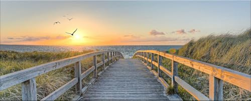 artissimo Glasbild 125x50 cm Bild Strand Steg Sonnenuntergang AG5422A – modernes Panorama Bild aus Glas, großes Wandbild XXL Querformat, Wanddeko Wohnzimmer Strand Meer Dünen