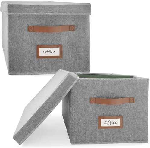 Amazing Tour Suspension File Box with Lid, PVC A4 Box Files for Home and Office, 2 Pack Grey