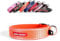 EzyDog Hundehalsband für Große, Mittelgroße, Mittlere & Kleine Hunde - Halsband Hund Neopren Gepolstert, Wasserfest, Reflektierend (XL, Orange)