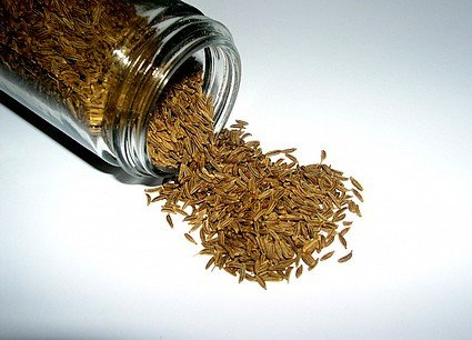 125g | Whole Caraway Seeds **Free UK Post** Spice Cooking Quality Caraway Seed Cake Seasoning