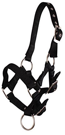 QHP Fohlenhalfter Halfter Fohlen Nylonhalfter 4 Fohlengrößen 6 Farben (Fohlen Full, schwarz)