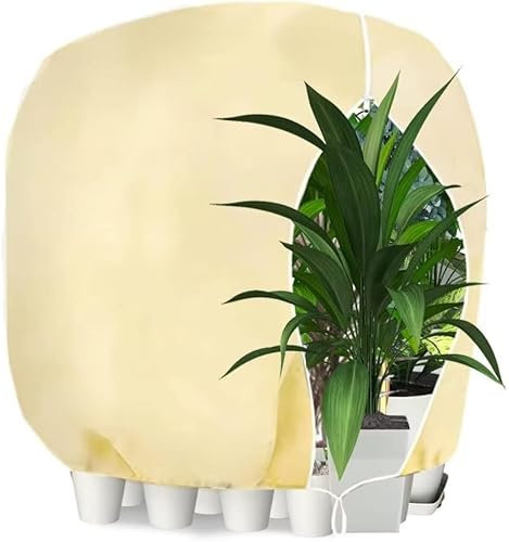 WEALSFUN Winterschutz für Pflanzen, 190x220cm Winterschutz Kübelpflanzensack Schutzhülle für Pflanzen als Baum Palmen Balkonpflanzen haube Zelt Atmungsaktiv - Reißfest, beige