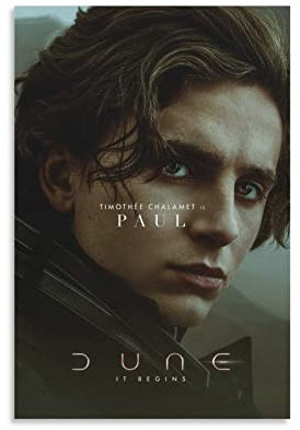 YIFANF Foto Auf Leinwand 30 * 50cm Senza Cornice Dune Movie Timothée Chalamet Copertina Soggiorno Poster Camera da letto Pittura