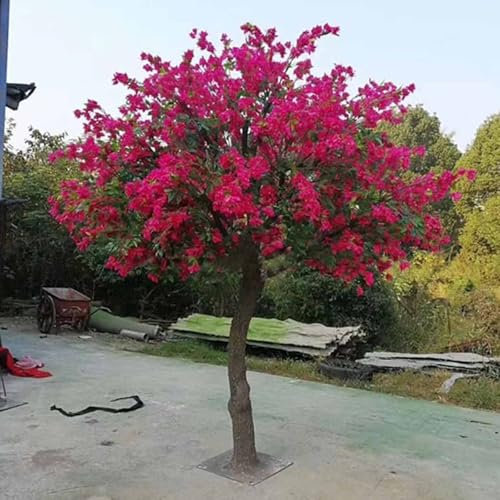 Quepiem Árbol de buganvilla Artificial Grande, ciruelos Artificiales, para decoración Interior y Exterior, magnífico Paisaje de simulación(1x0.5m)