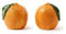 Biba Orange Salt and Pepper Shaker Set