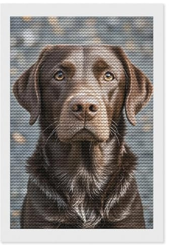FZMTLDS Braun Labrador Retriever Diamond Painting Kit 20,3 x 30,5 cm Diamant Malerei Diamant Malerei Diamant Malerei für Anfänger Home Wall Decor