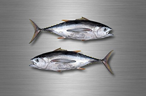 Akacha 2 Sticker Aufkleber hai Fische Angler hecht Abziehbilder Angel Fishing Thunfisch
