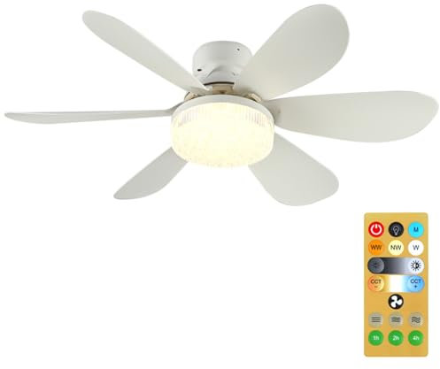 Fiorky Ventilateur de Plafond avec lumières, Ventilateur avec télécommande, Base E26/E27, Ventilateur de Plafond Moderne, réglage du Vent à 3 Vitesses, Ventilateur de Plafond à Douille à int