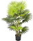 Artificial 95cm Fan Finger Palm Tree in Pot