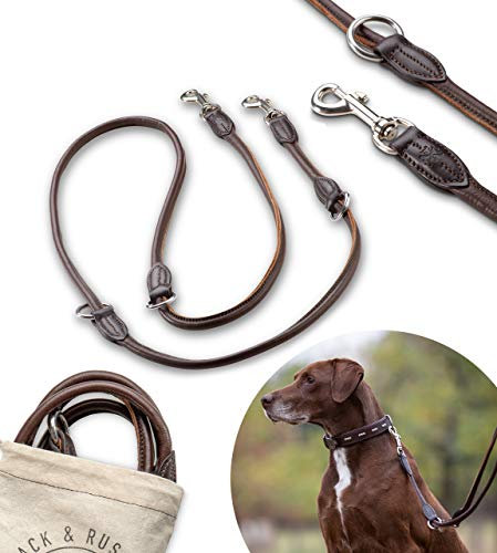 Premium Leder Hundeleine Dora 2,0m - Hunde Lederleine mit Karabiner - Echtleder Leine mehrfach verstellbar (Dora-12mm)