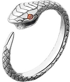 XJruixi 925 Stamp Finger Rings for Women Creative Trendy Red Eye Snake Punk Hiphop Party Jewelry