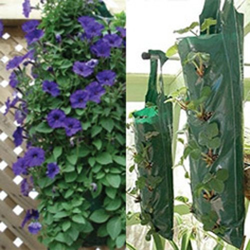 POT DE FLEUR À SUSPENDRE FRAISE OFFFER BAGS- PaCK DE 3
