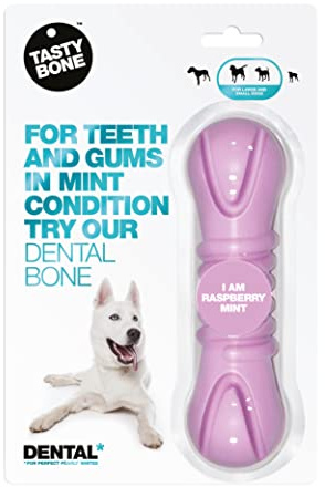 TastyBone TastyBrush Dental Nylon Dog Chew Toy (Raspberry Mint) - Strong Healthy Teeth & Gums, Indestructible for Aggressive Chewers, Everlasting Flavour, Made in the UK