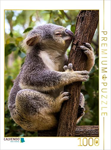 CALVENDO Puzzle Koala klettert auf Eukalyptusbaum 1000 Teile Puzzle hoch | Lege-Größe cm Foto-Puzzle für glückliche Stunden