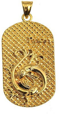 PAMTIER Women Girl Gold Necklace Coin Disc 12 Constellation Sign Astrology Star Pendant Necklace Pisces