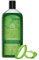 The Man Company Aloe Vera & Matcha Duschgel | Duschgel für strahlende und glatte Haut | Angereichert mit Grüntee- und Moringa-Blattextrakt | Giftfrei – 200 ml