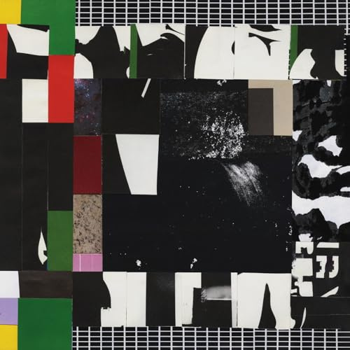 Nothing Will Disappear [VINYL LP]