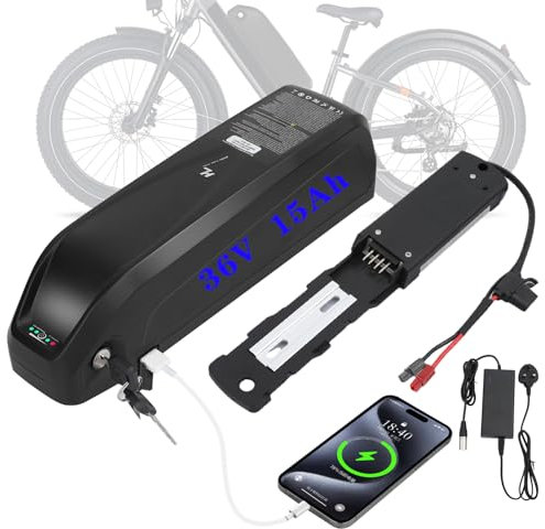 WR TEAM Ebike Battery 36v 15AH with Charger, USB Port, Lithium Electric Bike Battery for 1000W 750W 500W 250W Motor (Bafang, AW, most ebike conversion kit)