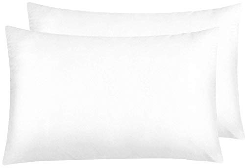NTBAY 2 Pack Zippered Satin Pillow Cases for Hair and Skin, Luxury Standard Hidden Zipper Pillowcases Set of 2, 50x75 cm, White