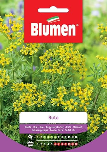 Blumen