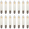 Erzgebirgslicht - AUSWAHL - 14 Stück LED Filament Kleinschaftkerze 23V 0,2W E10 für 10 Brennstellen Ersatzbirne Glühbirne Minischaftkerze Glühlämpchen für Lichterketten Pyramide und Schwibbogen