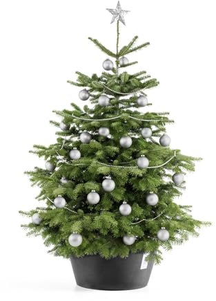 Ecopots Christbaumständer mit Wasserspeicher für Bäume bis 3,00 m Baumhöhe umkippsicher - Tannenbaumständer Dunkelgrau aus recycling Kunststoff Ø 50 cm rund groß - Weihnachtsbaumständer Weihnachtsbaum