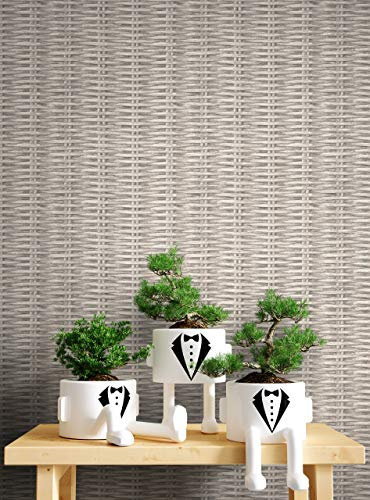 NEWROOM Tapete Taupe Vliestapete Holz - Geflochten Landhaus Braun Beige Schilf Rattan Struktur 3D Optik Mustertapete Flechtoptik inkl. Tapezier-Ratgeber