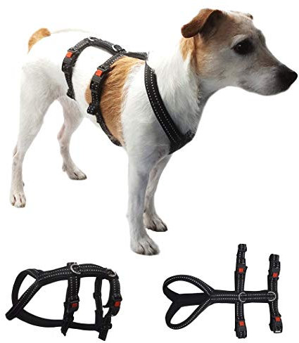 Sicherheitsgeschirr Alcatraz mit Neopren GEPOLSTERT + REFLEKTIEREND verstellbar für kleine und große Hunde Mini - L 6 Größen (XXS)