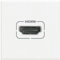 BTicino HD4284 Connecteur HDMI TypeA à Visser Version 1.3 Axolute, 2 Modules, Blanc
