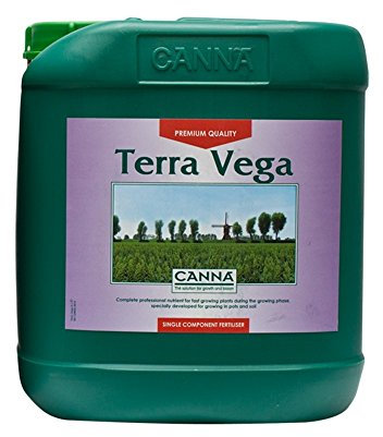 CANNA 997