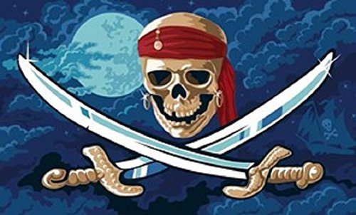 U24 Fahne Flagge Pirat Fluch der Meere 90 x 150 cm