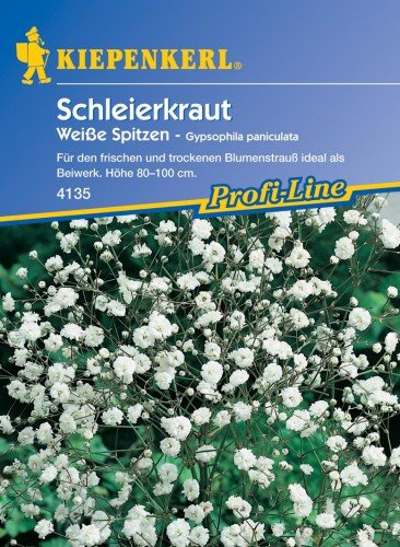Schleierkraut Weiße Spitzen