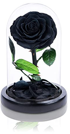 Fiori conservati fatti a mano in cupola di vetro, rose nere