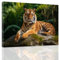 ZXHYWYM Tiger Leinwandbilder Wildtier Wanddekoration Wildtier Tiger Gemälde Druck modernes Herrenschlafzimmer Wohnzimmer Kunstwerk mit Rahmen (B (30.00 x 45.00 cms))