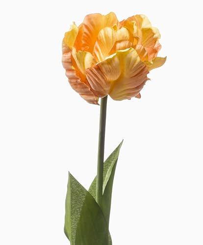 artplants.de Kunst Papageientulpe LIOMARA, gelb-pfirsich, 65cm | Künstliche Tulpe