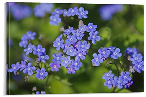 flechr Blumen Sibirische Bugloss Wiese Blau Blumen Leinwand Gemälde Poster Wandkunst Dekorative Bild Drucke Moderne Dekoration 60 x 90 cm
