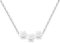 Liskanap Personalisierte Pfote Halskette mit 1-4 Namen Gravur 925 Sterling Silber Hund Katze Namenskette Rose Gold Memorial Haustier Geschenk für Frauen Damen (Silber- max 3 Namen)