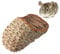 ULIJTH Grass Bed Natural Straw Woven House Chew For Hay Nest For Hamsters Gerbils Chinchillas Mice Small Anim